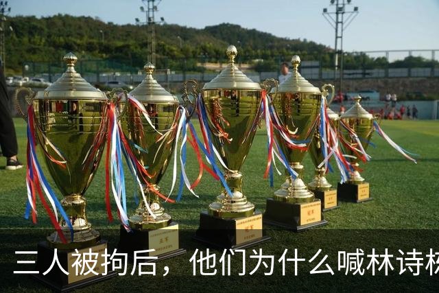三人被拘后，他们为什么喊"林诗栋上一单"？