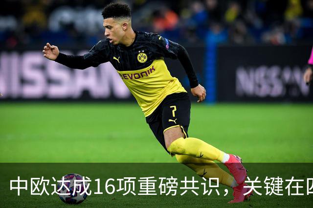 中欧达成16项重磅共识，关键在四点，美国希望落空了，特朗普要急