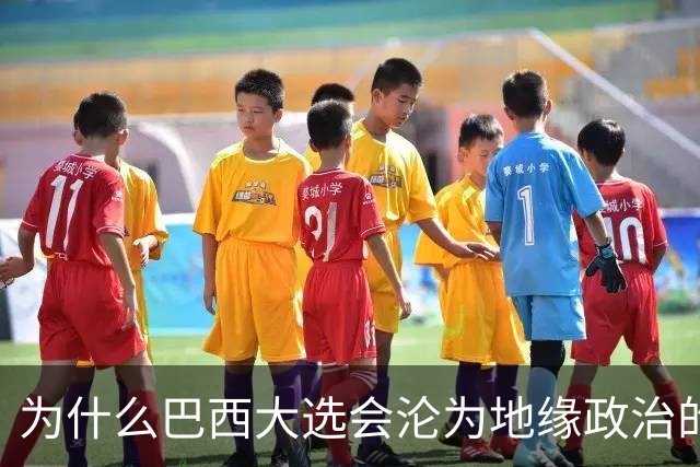 为什么巴西大选会沦为地缘政治的角斗场？