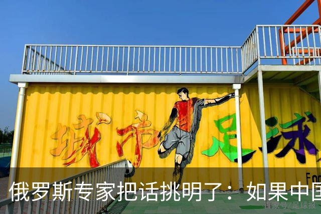 俄罗斯专家把话挑明了：如果中国铁了心要对日本动手，那就只有两个选择，要么不出手，要么一击毙命！