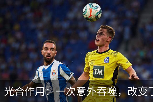 光合作用：一次意外吞噬，改变了整个地球