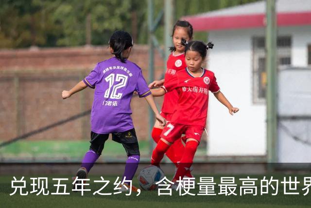 兑现五年之约，含梗量最高的世界冠军诞生