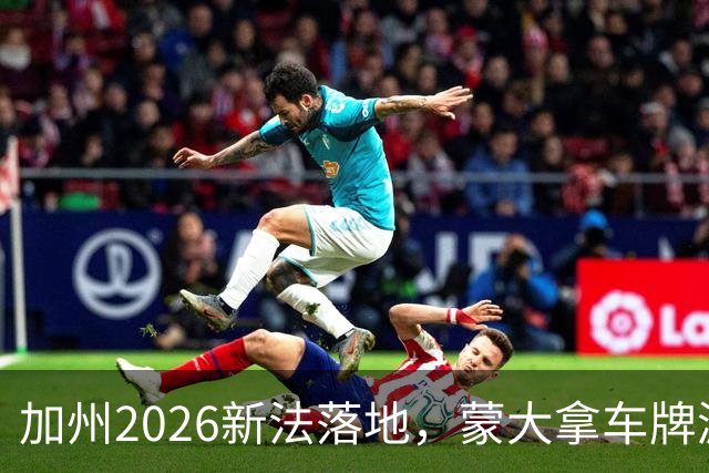 加州2026新法落地，蒙大拿车牌漏洞还能钻吗？