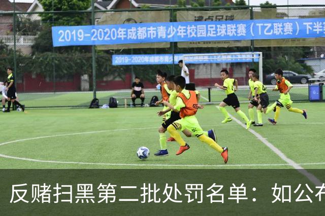 反赌扫黑第二批处罚名单：如公布 应与准入同步