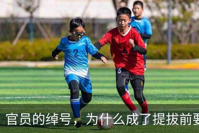 官员的绰号，为什么成了提拔前要查的事？