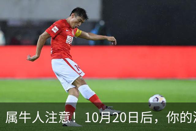 属牛人注意！10月20日后，你的清闲日子要暂时叫停了