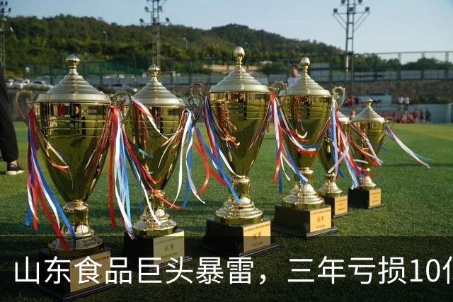 山东食品巨头暴雷，三年亏损10亿元，董事长曾被法院悬赏990万