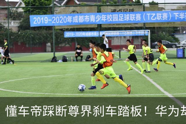 懂车帝踩断尊界刹车踏板！华为却遭“无妄审判”……