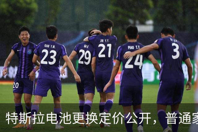 特斯拉电池更换定价公开，普通家庭用车成本一次性算清！