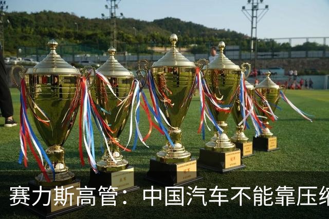 赛力斯高管：中国汽车不能靠压缩验证周期、降低安全标准来抢速度