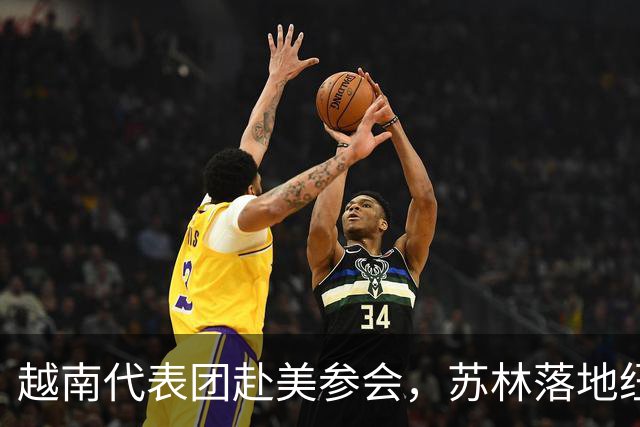 越南代表团赴美参会，苏林落地纽约后，承诺不让中企商品借道入美