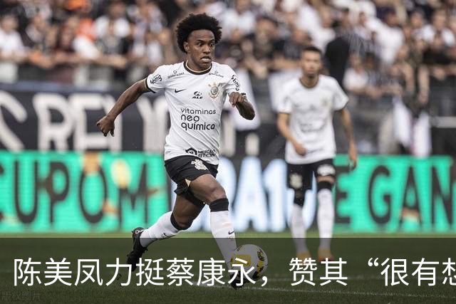 陈美凤力挺蔡康永，赞其“很有想法”，自称一直在湾湾，不怕抵制