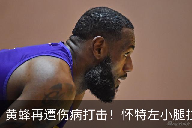 黄蜂再遭伤病打击！怀特左小腿拉伤季前赛报销 克努佩尔格威也伤停
