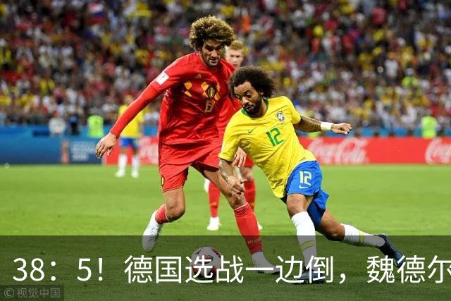 38：5！德国选战一边倒，魏德尔压倒性大胜，中德走向迎来新拐点