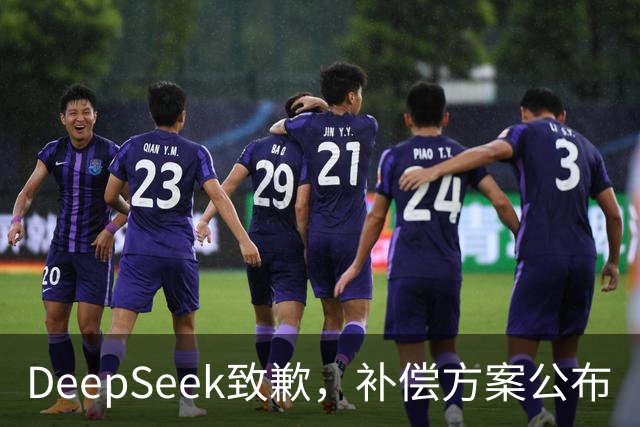 DeepSeek致歉，补偿方案公布